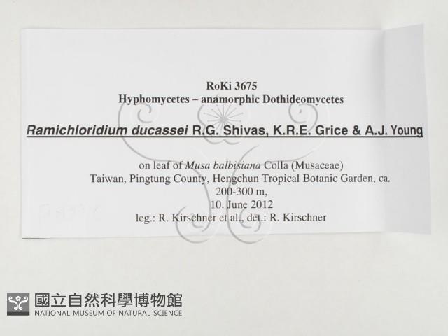 登錄號:F0026794藏品圖，第3張