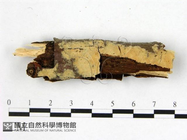 登錄號:F0021794藏品圖，第1張