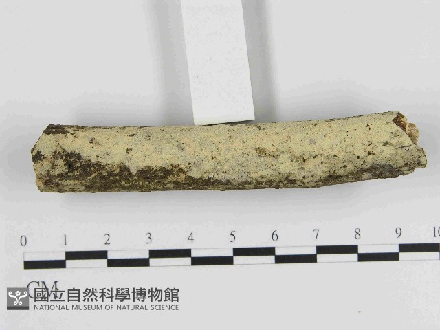 登錄號:F0014794藏品圖，第1張