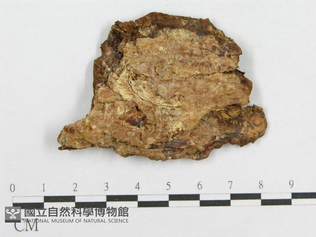 登錄號:F0017794藏品圖，第1張