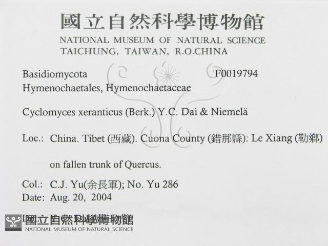 登錄號:F0019794藏品圖，第3張