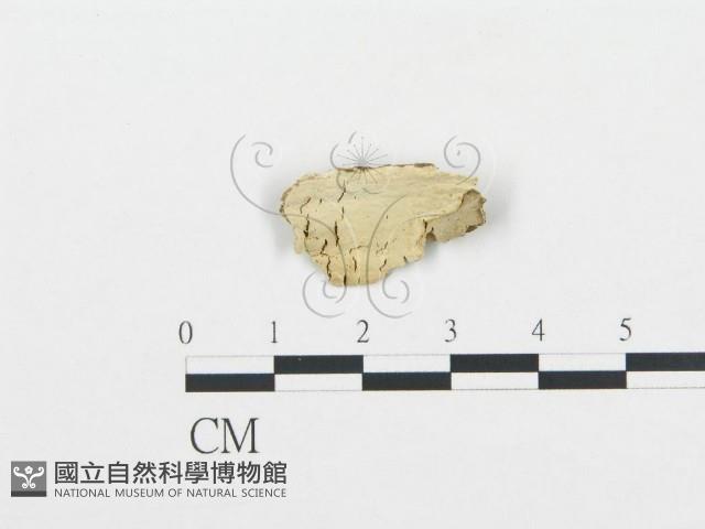 登錄號:F0016594藏品圖，第1張