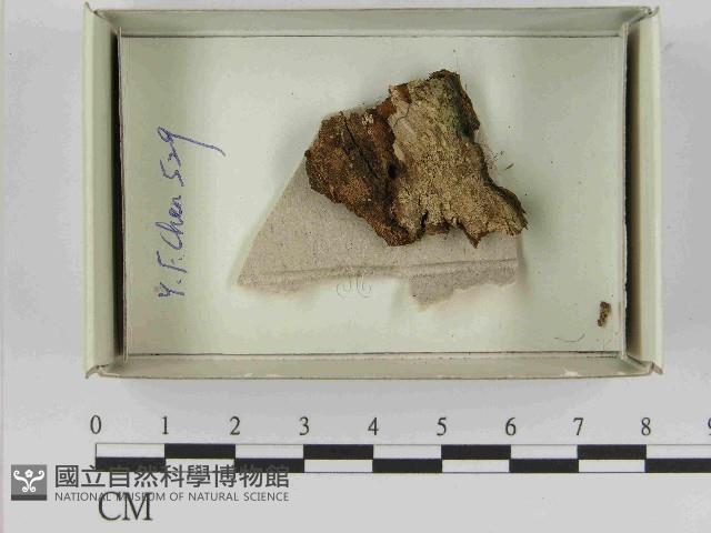 登錄號:F0021594藏品圖，第1張