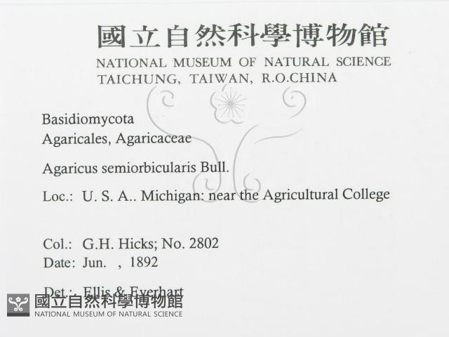 登錄號:F0011594藏品圖，第3張