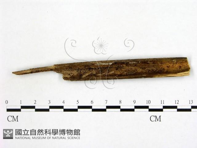 登錄號:F0020194藏品圖，第1張