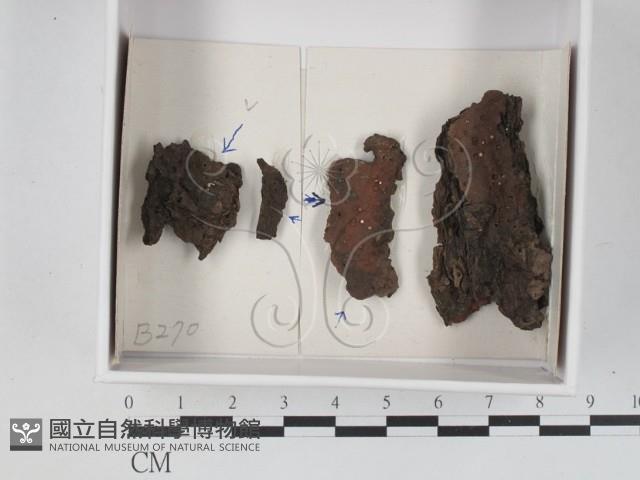 登錄號:F0021194藏品圖，第1張