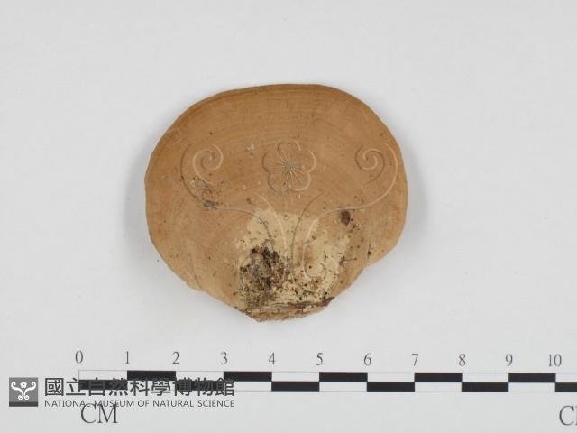 登錄號:F0014194藏品圖，第1張