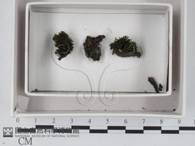 登錄號:F0018094藏品圖，第1張