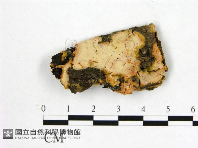 登錄號:F0012094藏品圖，第1張