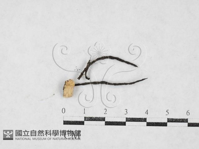 登錄號:F0027094藏品圖，第1張