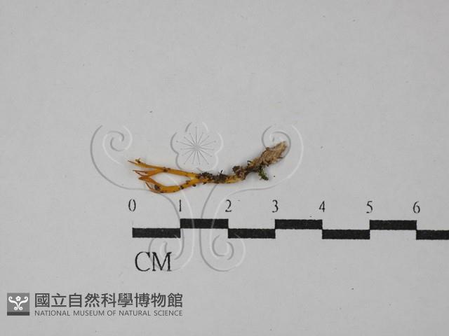 登錄號:F0029094藏品圖，第1張