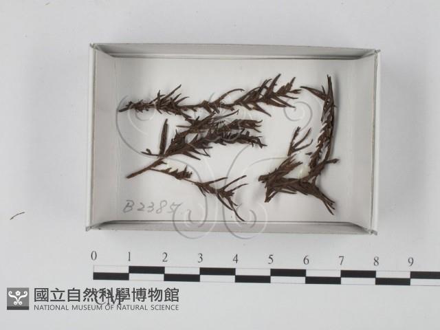登錄號:F0019094藏品圖，第1張