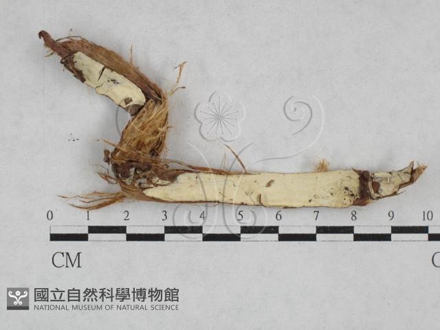 登錄號:F0028394藏品圖，第1張