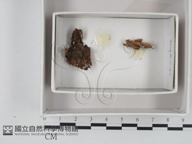 登錄號:F0018394藏品圖，第1張