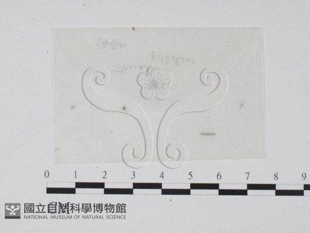登錄號:F0010394藏品圖，第1張