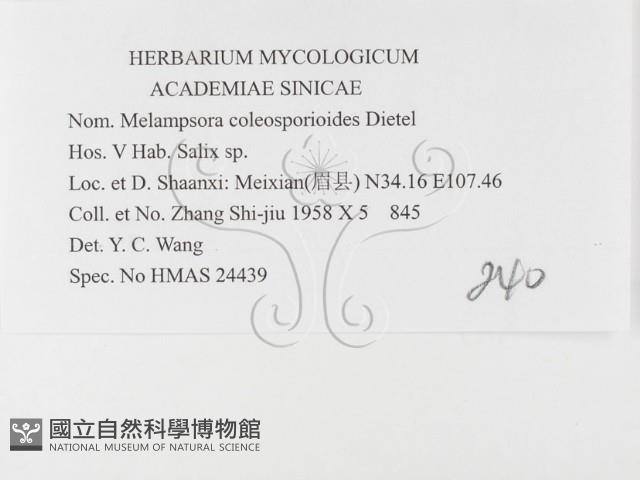 登錄號:F0026394藏品圖，第3張