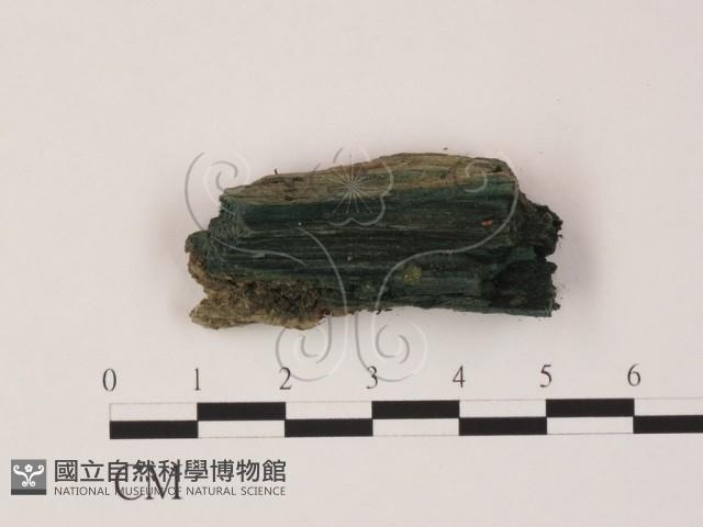 登錄號:F0007394藏品圖，第1張