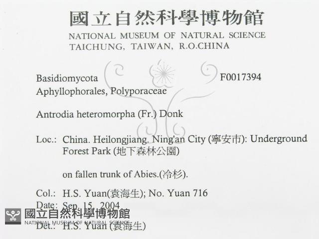 登錄號:F0017394藏品圖，第3張