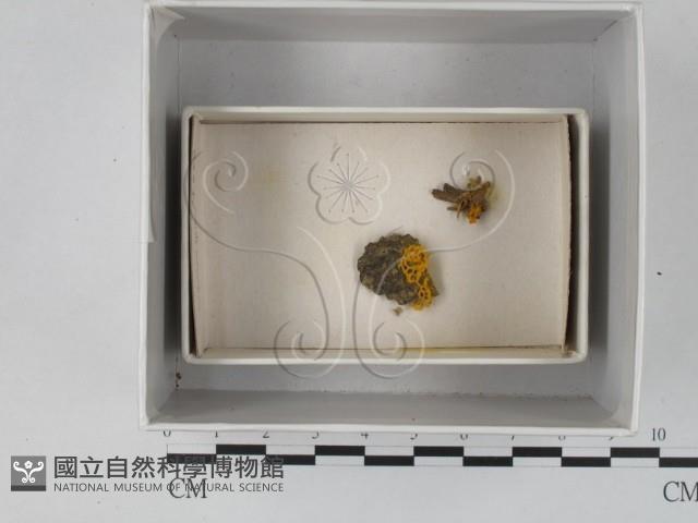 登錄號:F0018284藏品圖，第1張