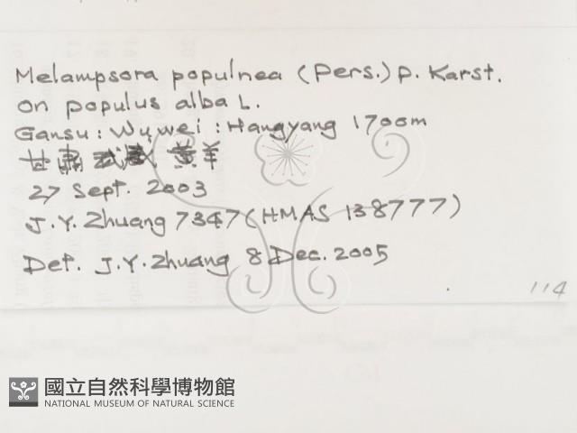 登錄號:F0026284藏品圖，第3張