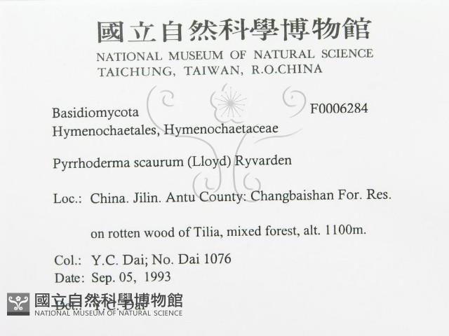 登錄號:F0006284藏品圖，第3張