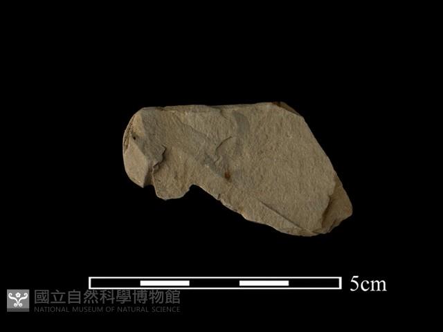 帶加工痕石材藏品圖，第2張