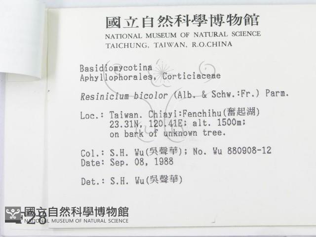 登錄號:F0002884藏品圖，第3張