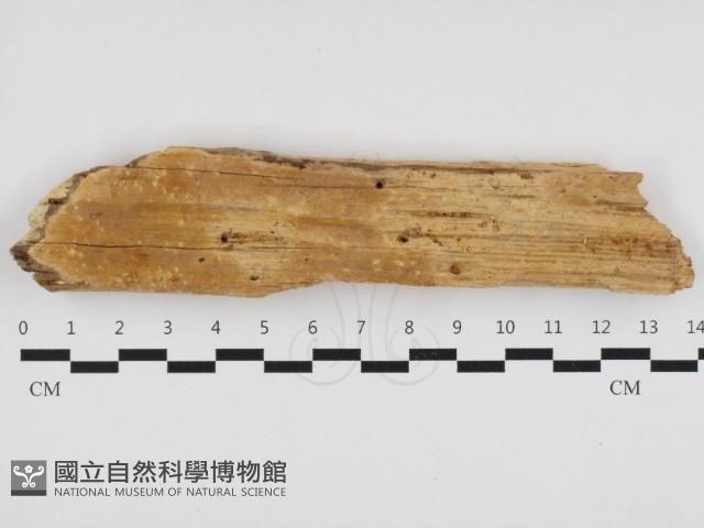 登錄號:F0032884藏品圖，第1張