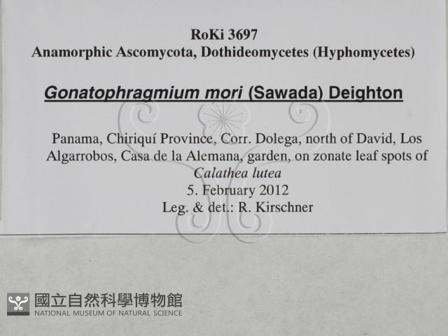 登錄號:F0027884藏品圖，第3張