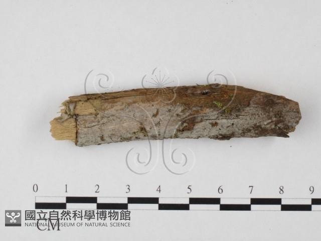 登錄號:F0023884藏品圖，第1張