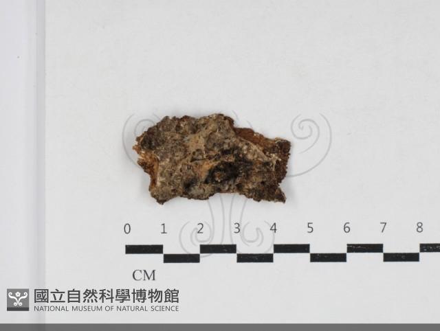 登錄號:F0033884藏品圖，第1張