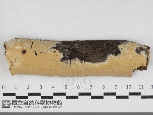 登錄號:F0033984藏品圖，第1張