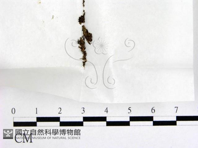 登錄號:F0000684藏品圖，第1張