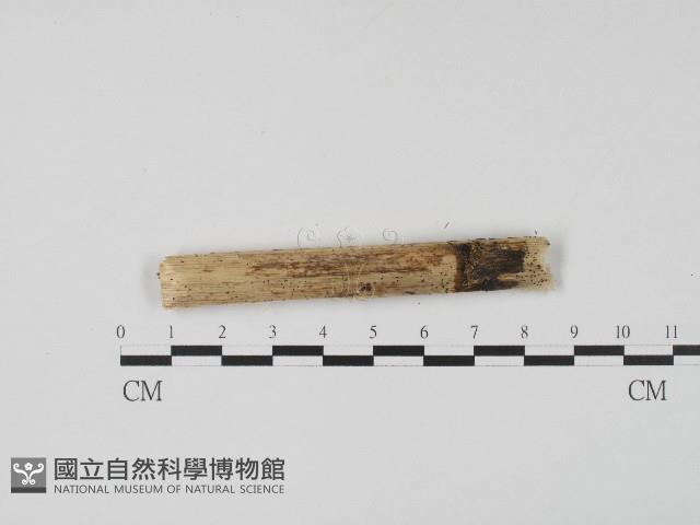 登錄號:F0004684藏品圖，第1張