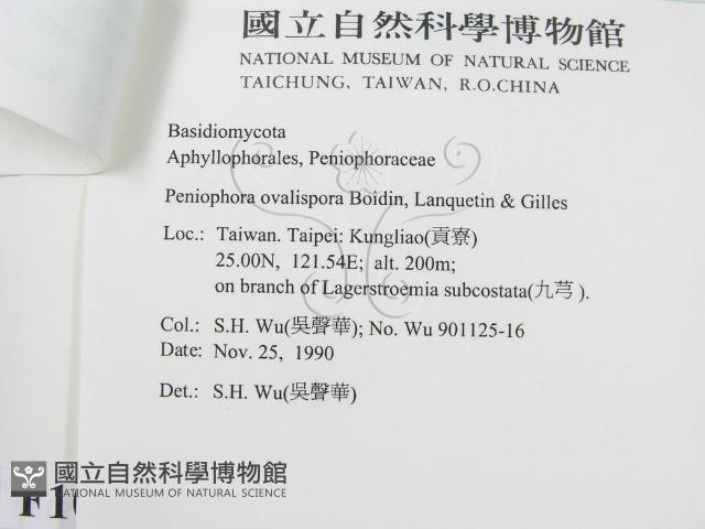 登錄號:F0010484藏品圖，第3張