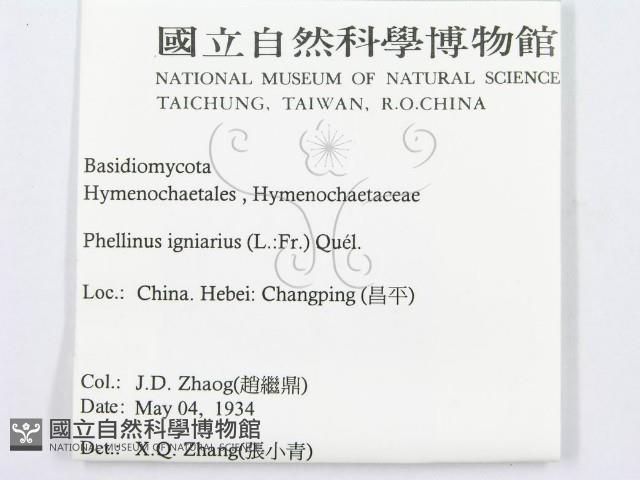 登錄號:F0016484藏品圖，第3張