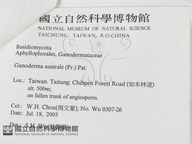 登錄號:F0015484藏品圖，第3張