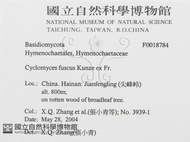 登錄號:F0018784藏品圖，第3張