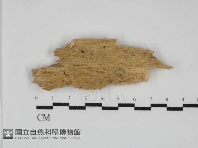 登錄號:F0031784藏品圖，第1張