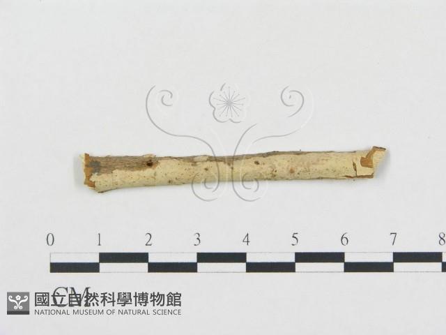 登錄號:F0002784藏品圖，第1張