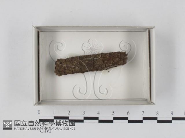 登錄號:F0018584藏品圖，第1張