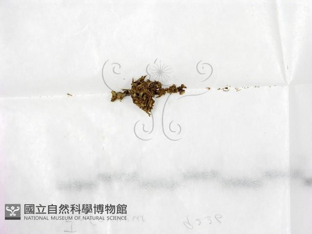 登錄號:F0000184藏品圖，第1張