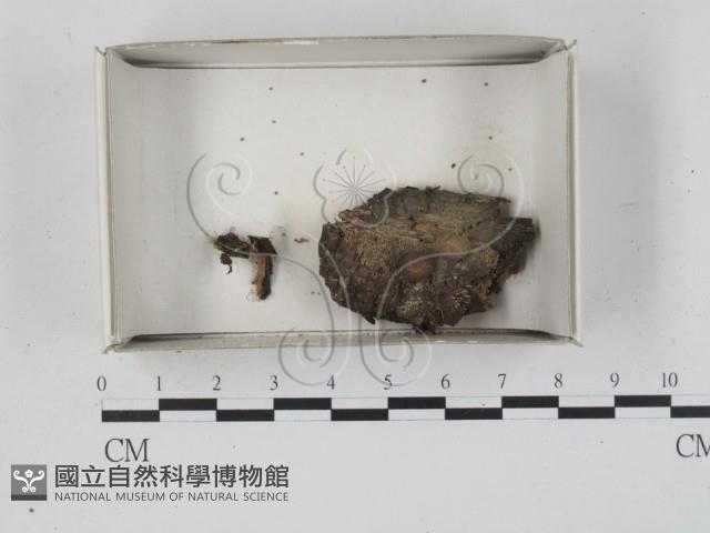 登錄號:F0021184藏品圖，第1張
