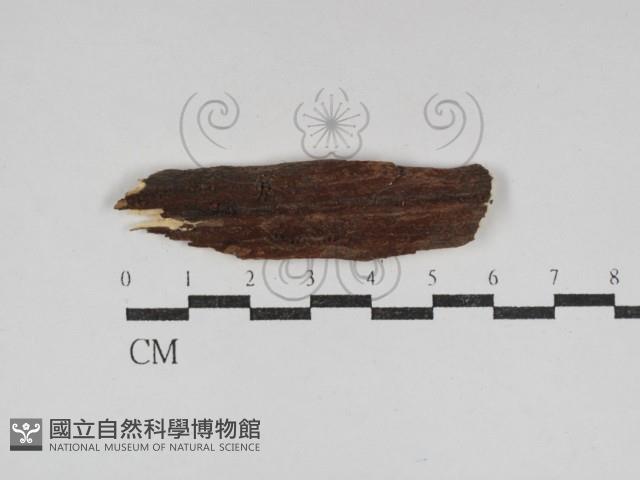 登錄號:F0031184藏品圖，第1張