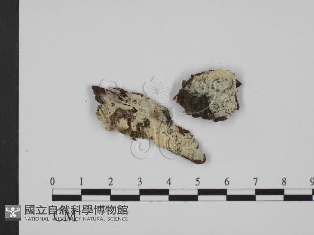 登錄號:F0012184藏品圖，第1張