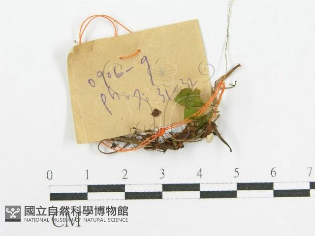 登錄號:F0017184藏品圖，第1張