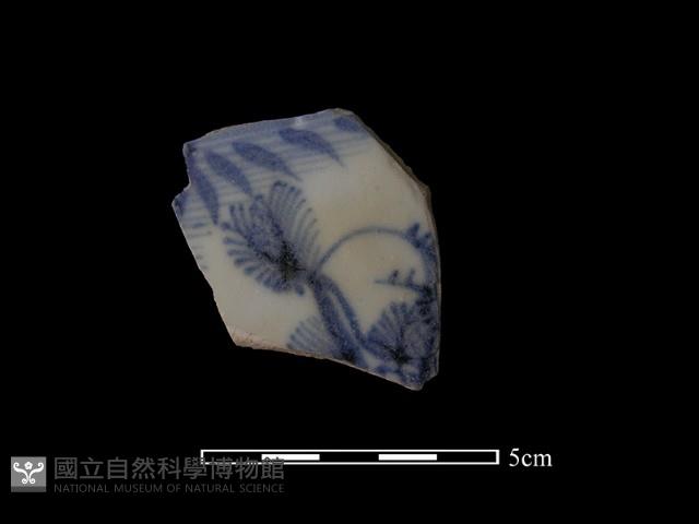 瓷片藏品圖，第1張