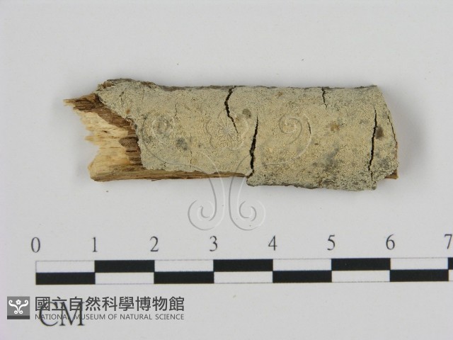 登錄號:F0010084藏品圖，第1張