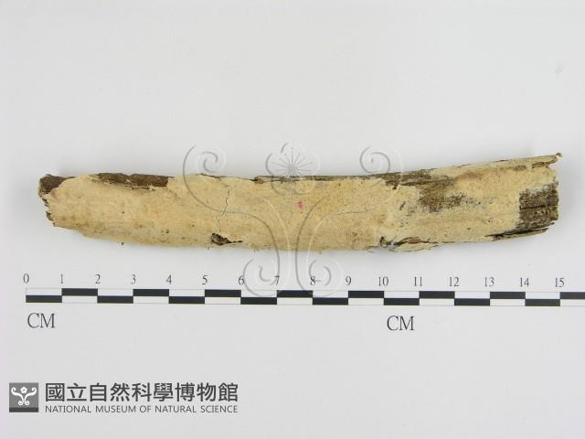 登錄號:F0004084藏品圖，第1張