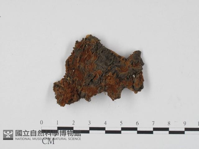 登錄號:F0017084藏品圖，第1張